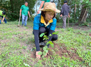 กิจกรรมวันต้นไม้ประจำปีของชาติ พ.ศ. 2568 พารามิเตอร์รูปภาพ 8